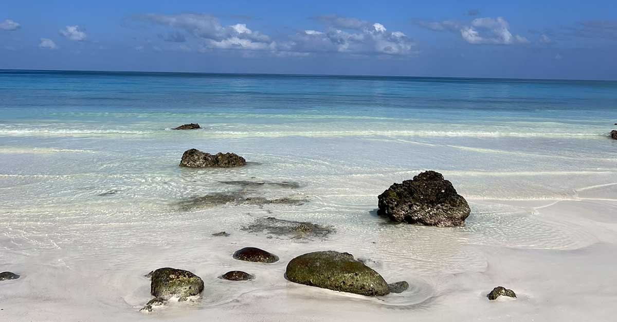 Socotra best beaches