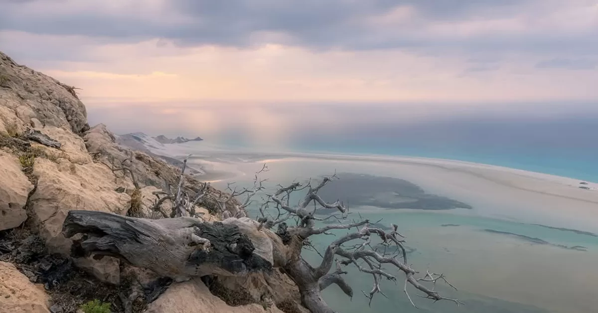 10 Extraordinary Facts About Socotra Island