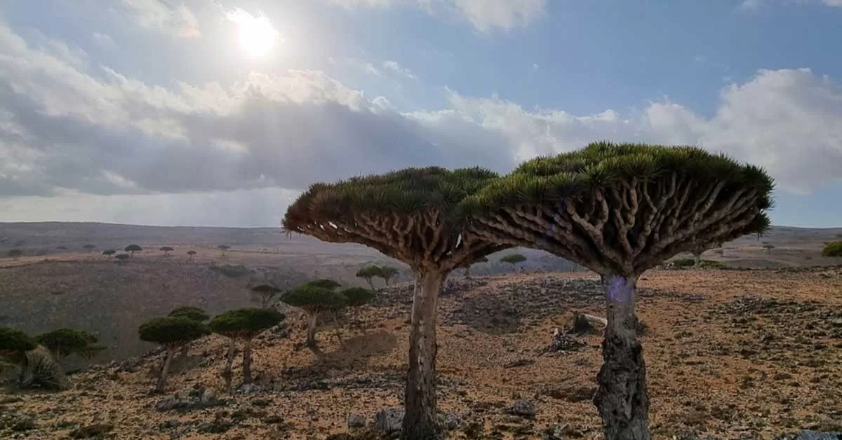 Socotra’s Best Hiking Areas